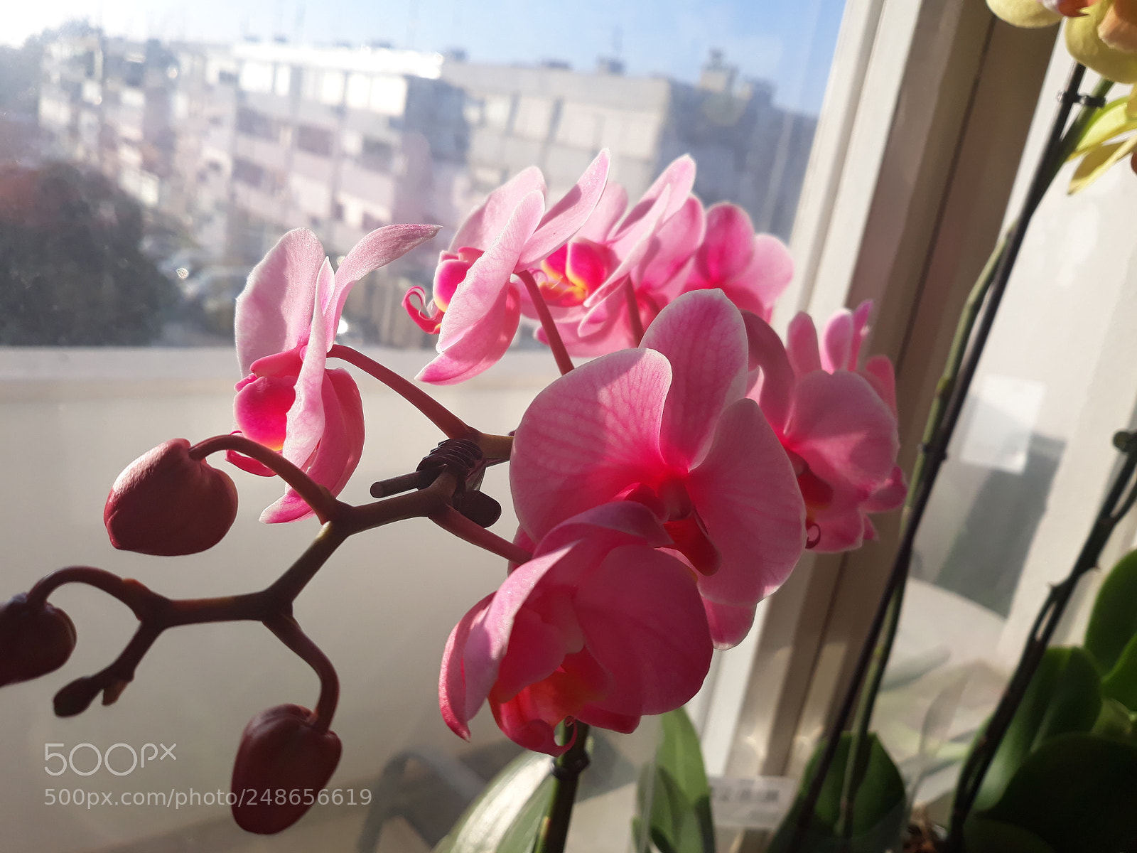 Samsung Galaxy J7 sample photo. Sretan 8.mart photography
