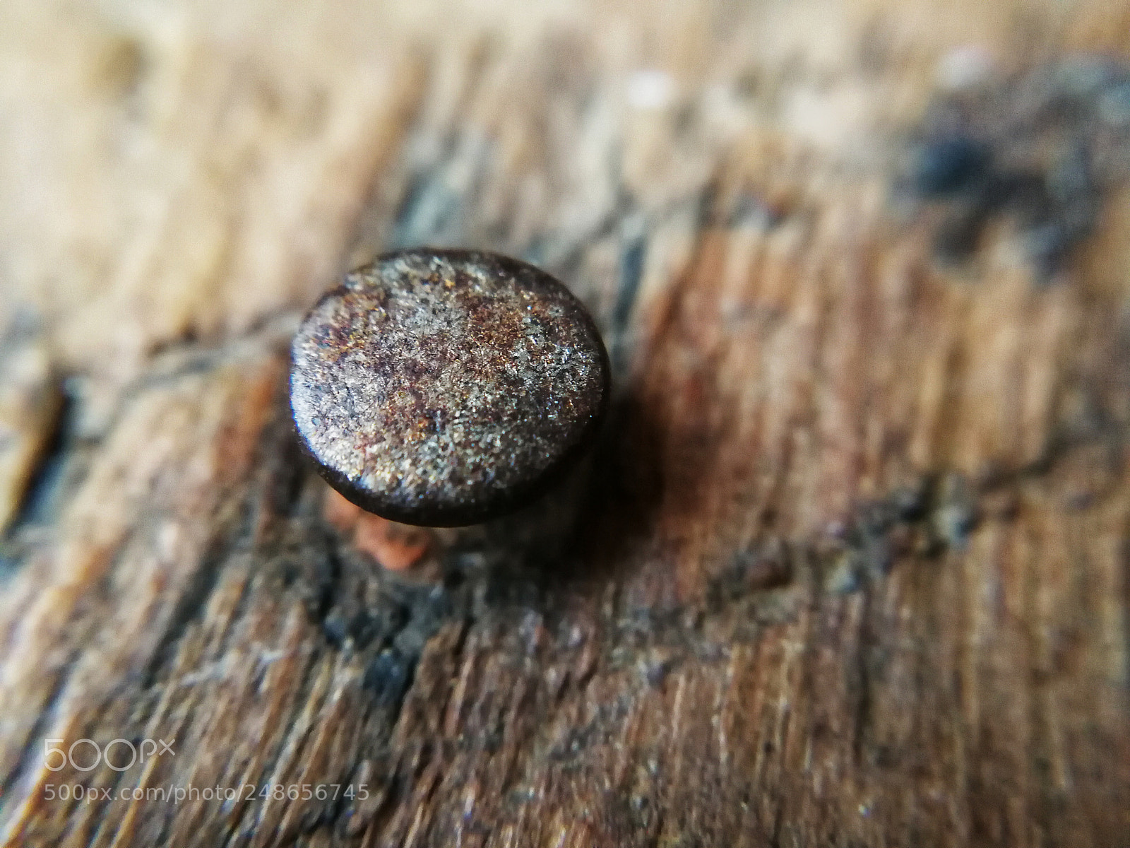 HUAWEI P10 sample photo. Nail head photography