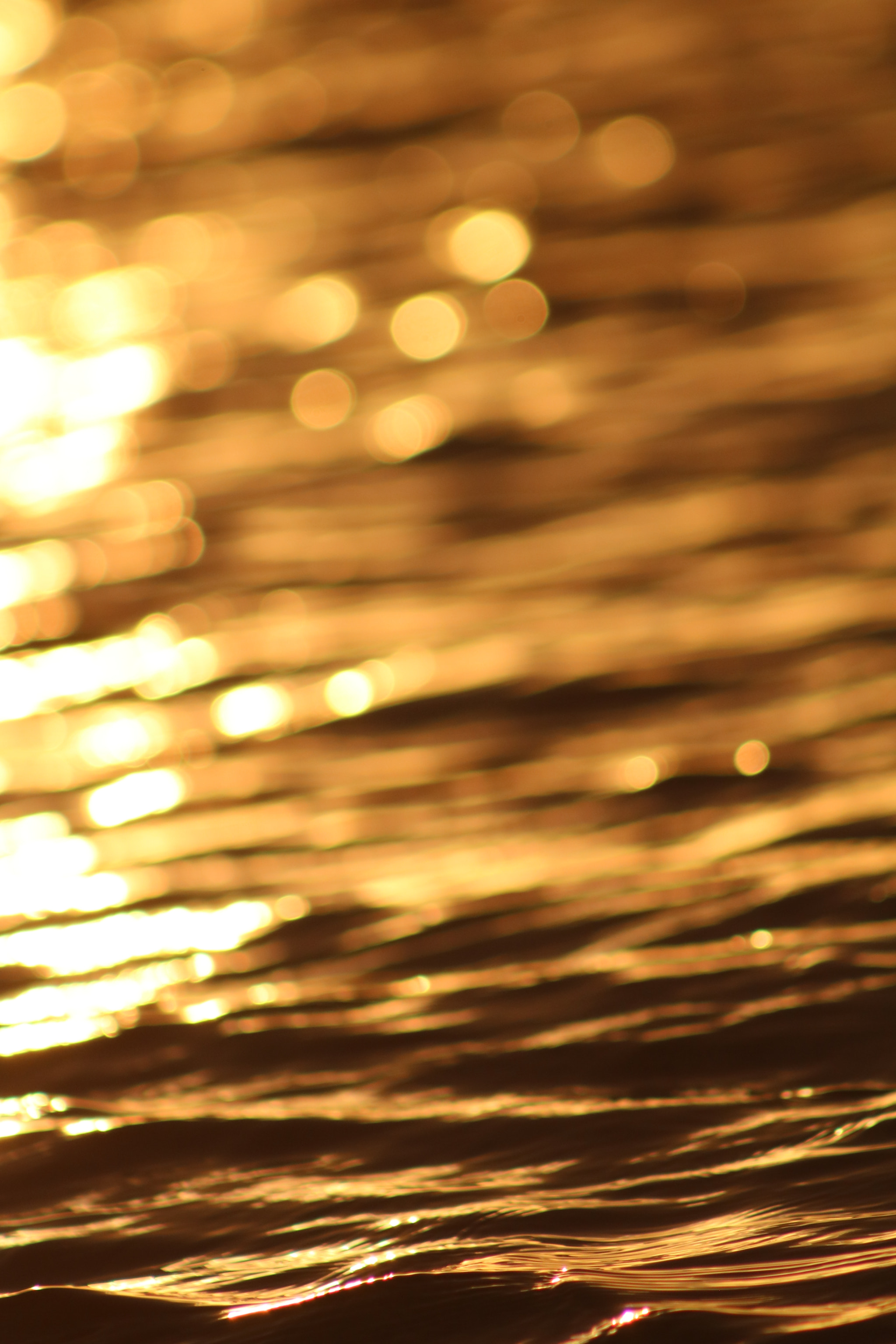 Canon EF 75-300mm f/4-5.6 sample photo
