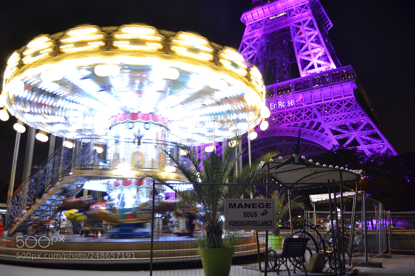 Nikon D3100 sample photo. La vie en rose photography