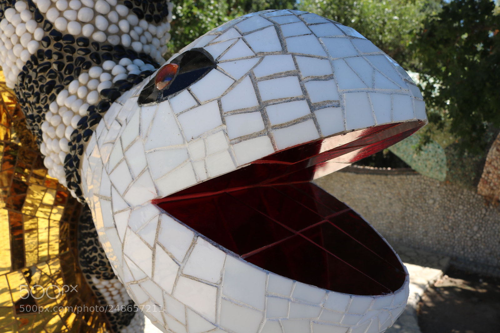 Canon EOS 750D (EOS Rebel T6i / EOS Kiss X8i) sample photo. Stone snake photography