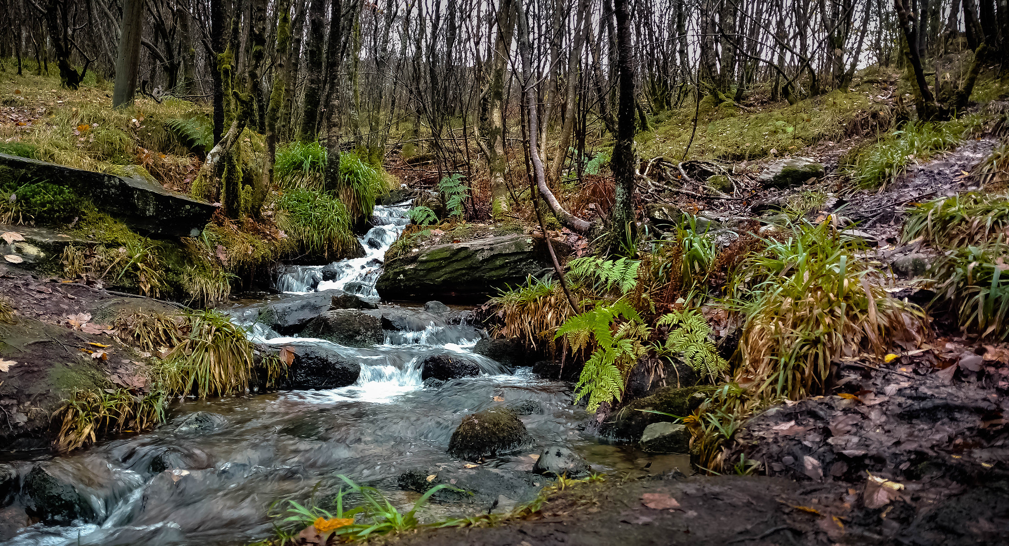 Motorola Moto X Play sample photo. Small river photography