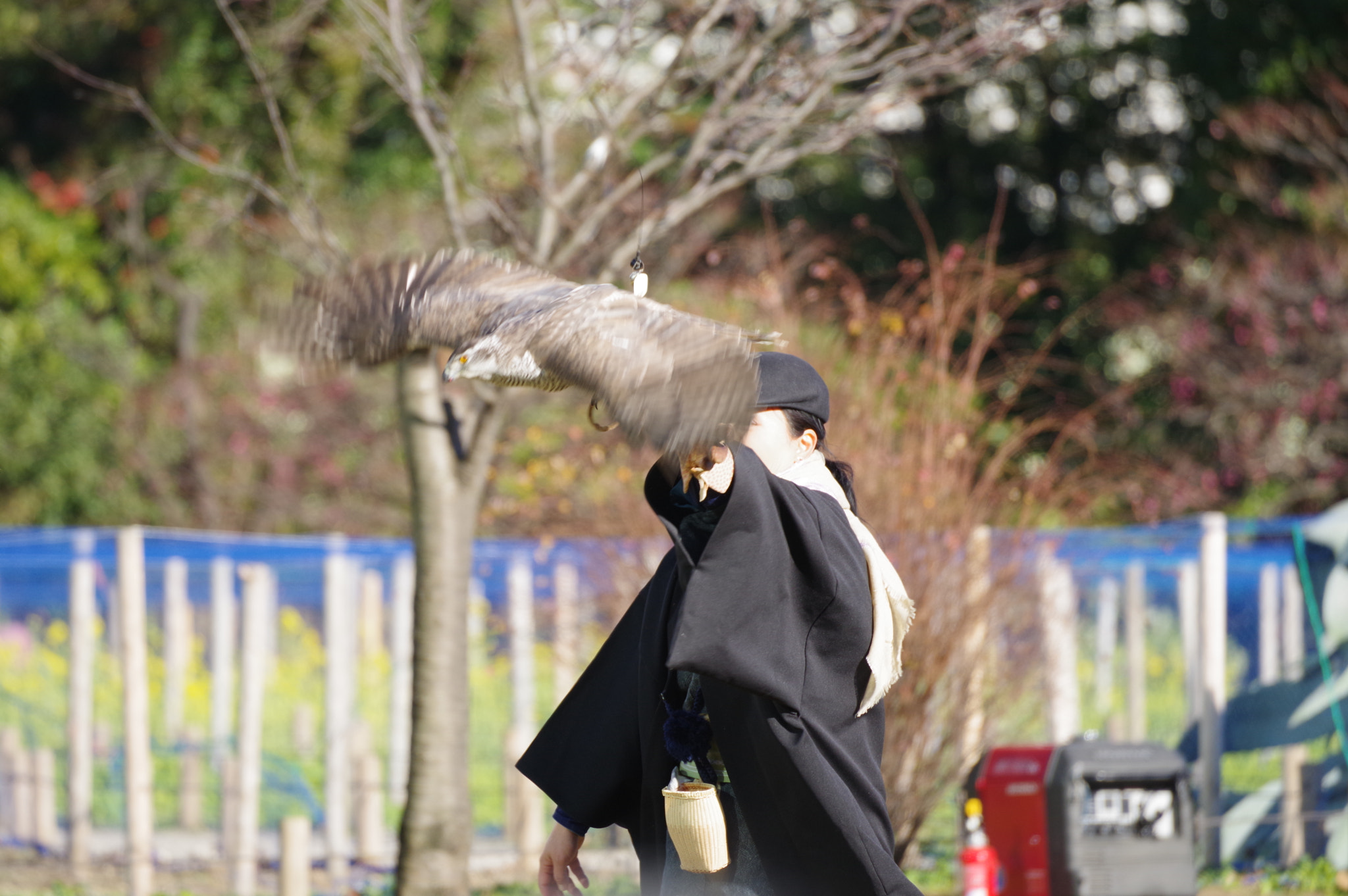 HD PENTAX-DA 55-300mm F4.5-6.3 ED PLM WR RE sample photo. Relationship photography