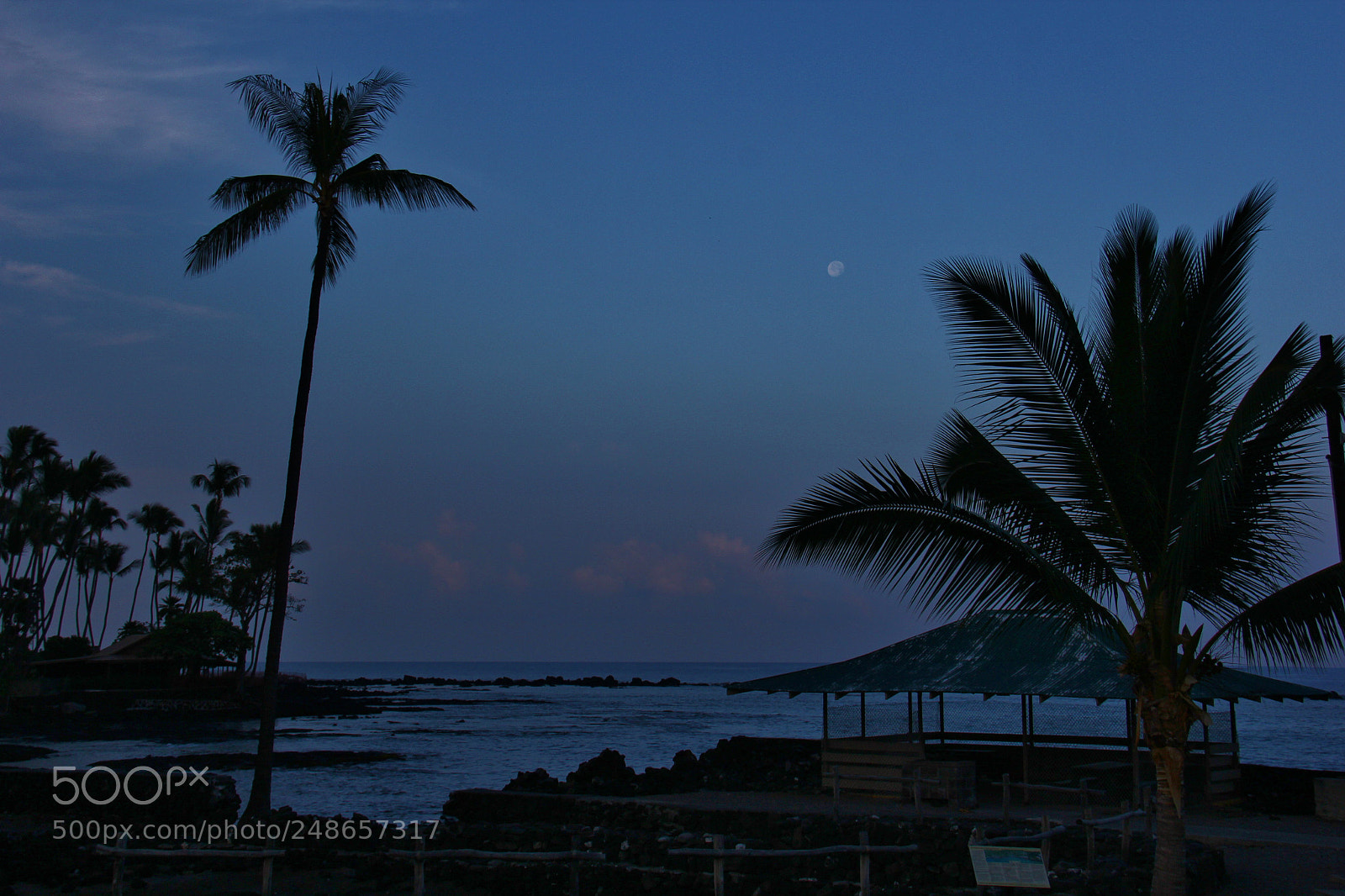 Canon EOS 60D sample photo. Kona, hawaii early early photography