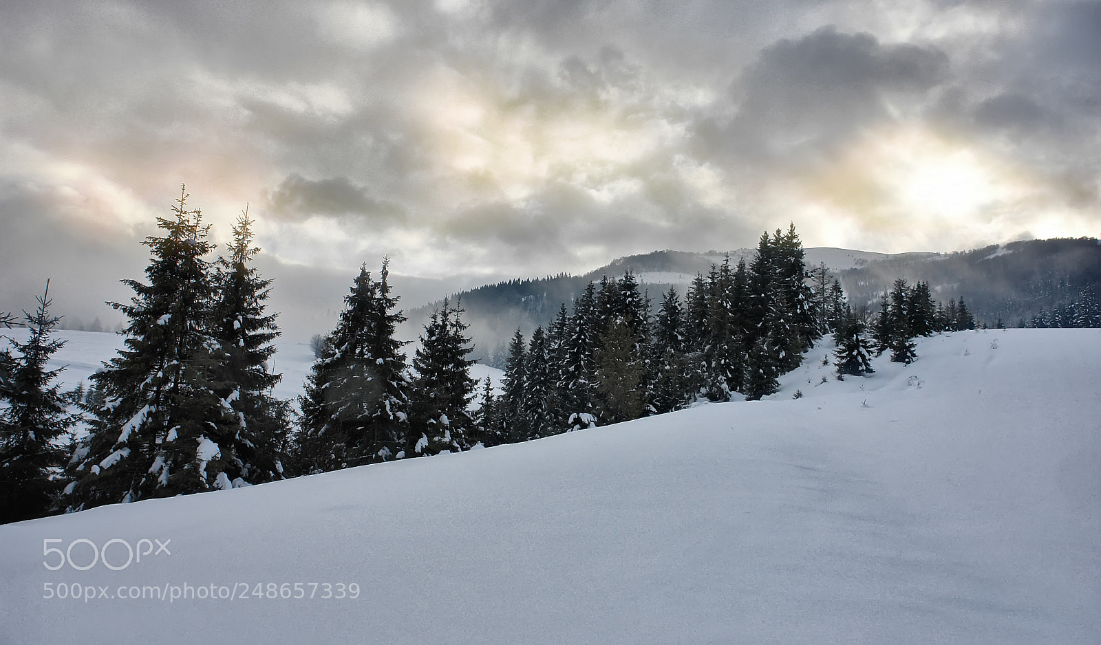 Sony DSC-R1 sample photo. Ukrainian carpathian mountains photography