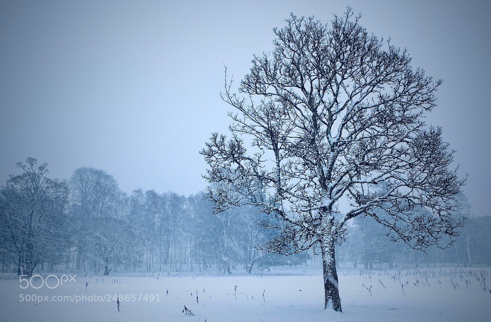 Fujifilm X-T1 sample photo. Untitled photography