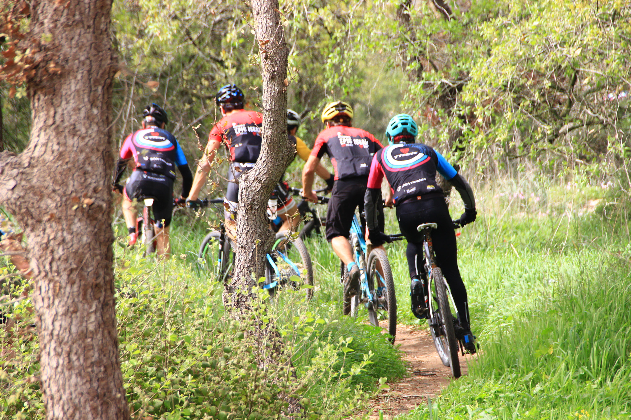 Canon EOS 600D (Rebel EOS T3i / EOS Kiss X5) sample photo. Cycling through the forest photography