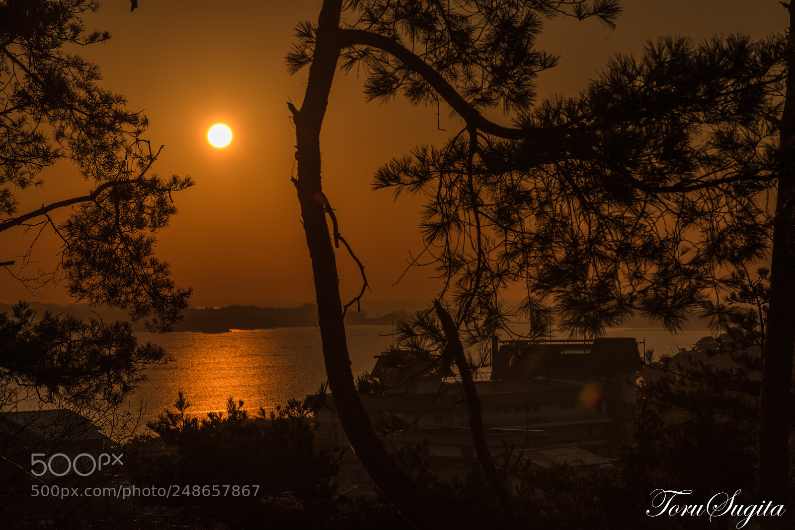 Nikon D610 sample photo. Reflection from sun photography