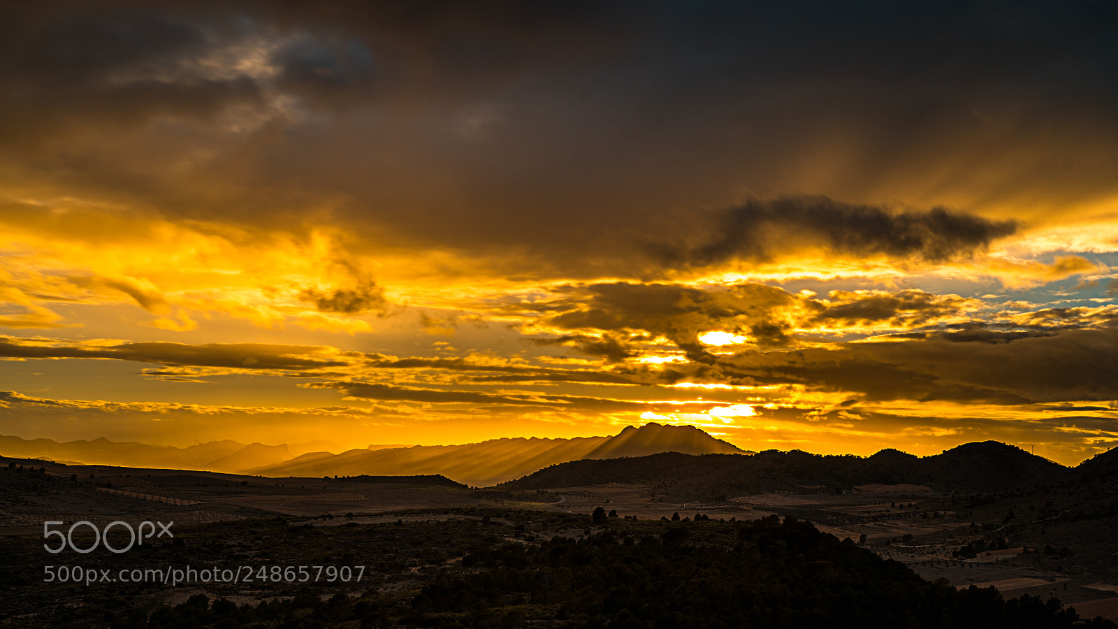 Sony a7S sample photo. Golden afternoon photography