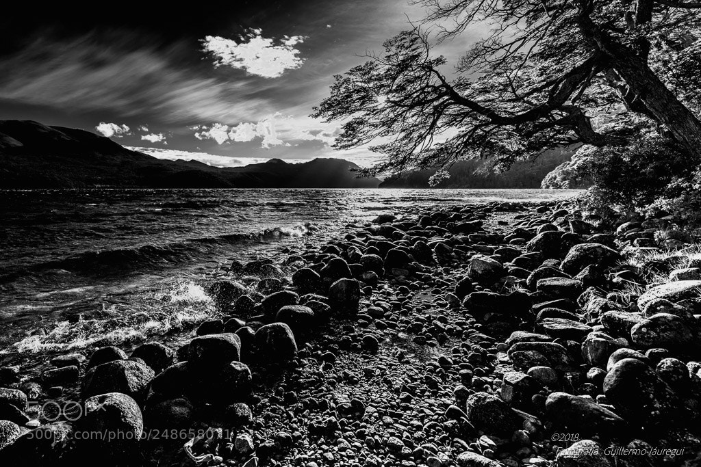 Nikon D810 sample photo. Atardecer en el lago photography