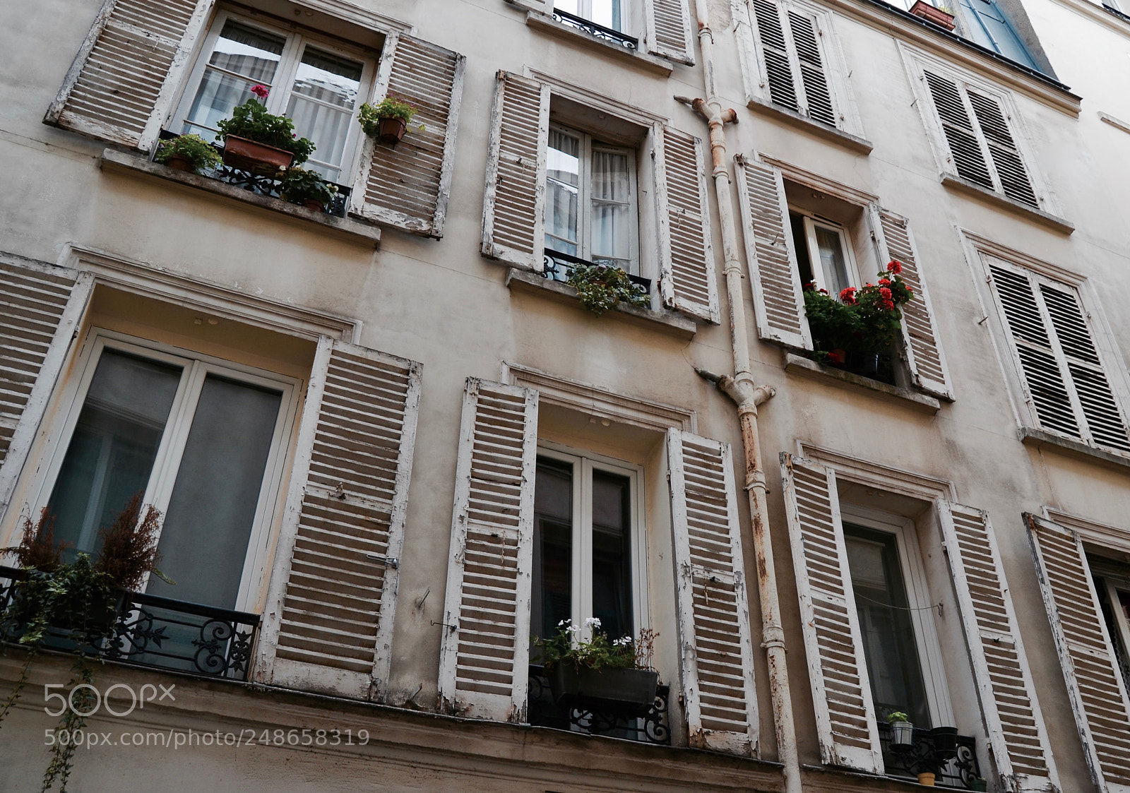 Nikon D3100 sample photo. Dans ce paris moi photography