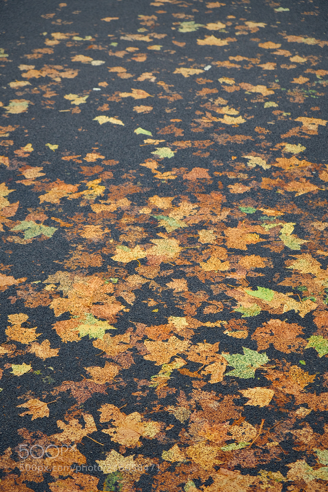 Fujifilm X-T20 sample photo. Imprint photography