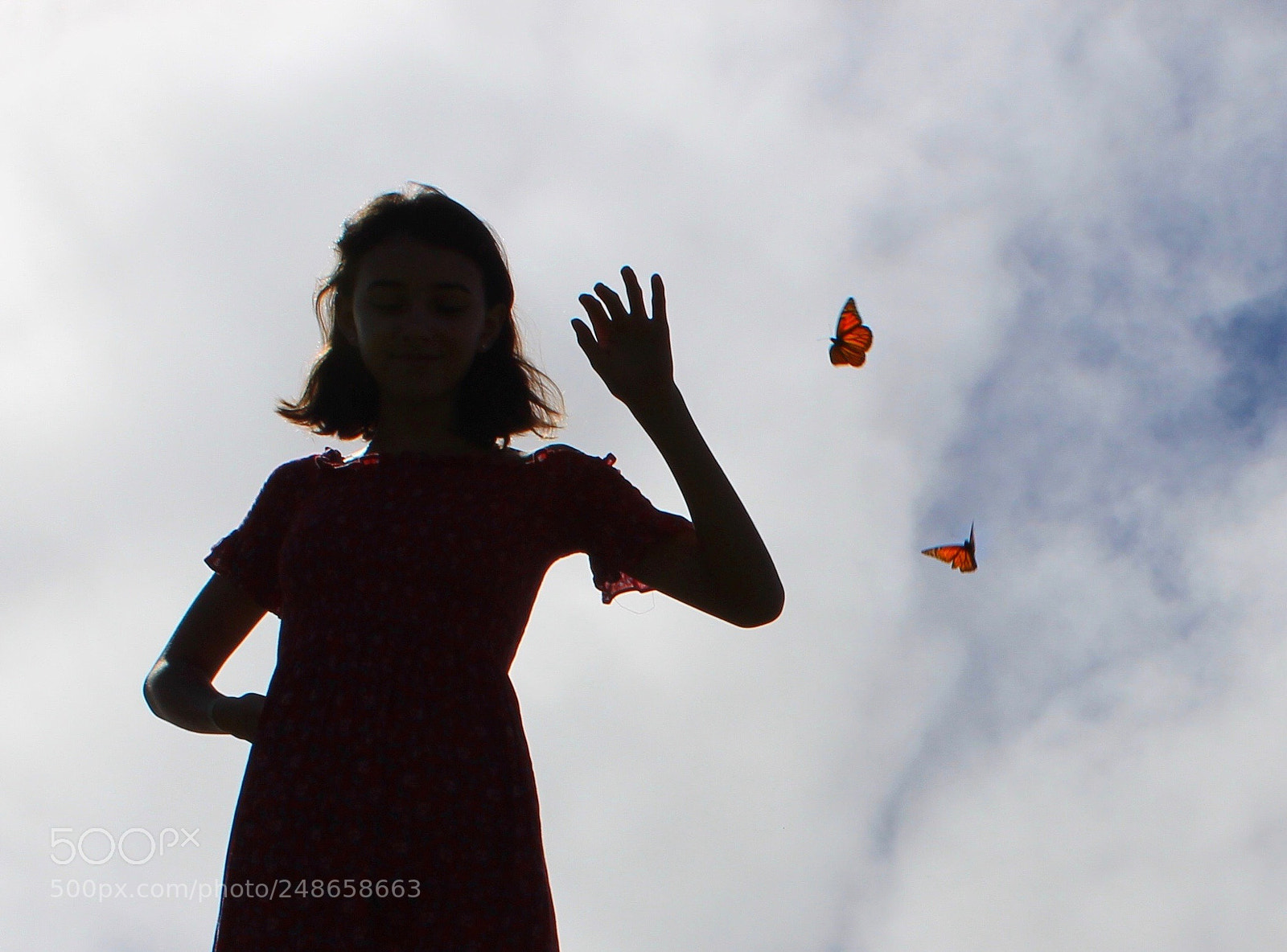 Canon EOS 1300D (EOS Rebel T6 / EOS Kiss X80) sample photo. Dancing with the butterflies photography