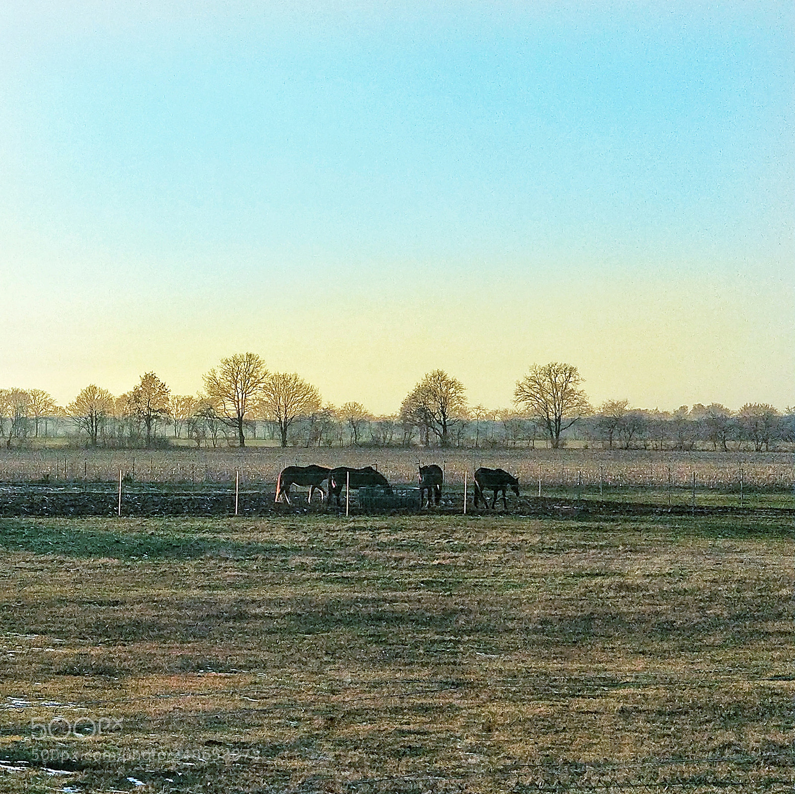 OnePlus 5 sample photo. Farm in schwerin photography