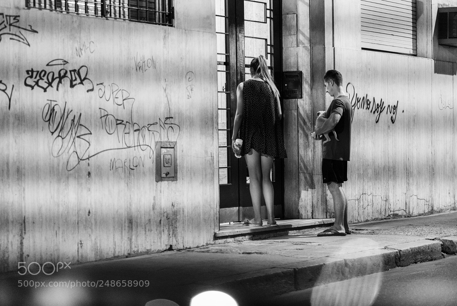 Sony a7R II sample photo. Paseando al perro y photography