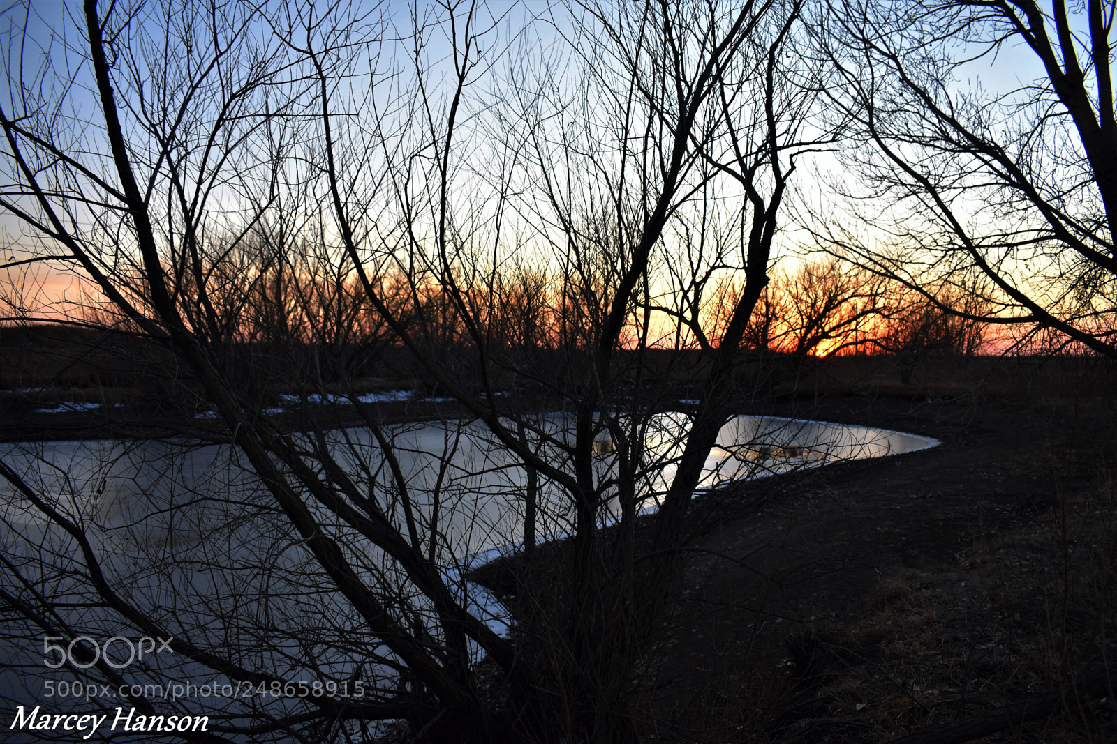 Nikon D3400 sample photo. 84.jpg photography