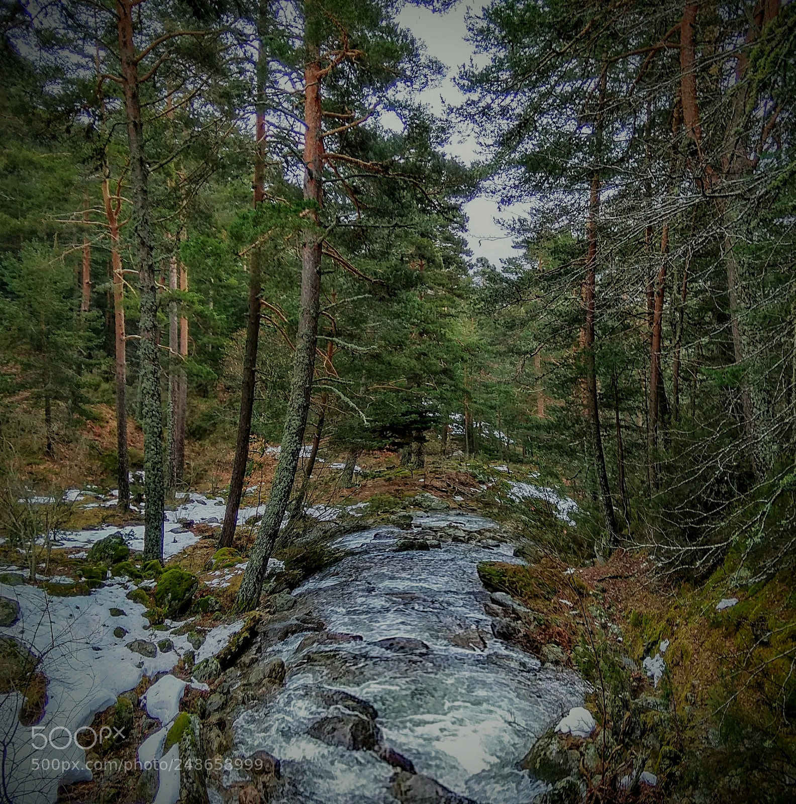 Xiaomi Redmi Note 4 sample photo. Untitled photography