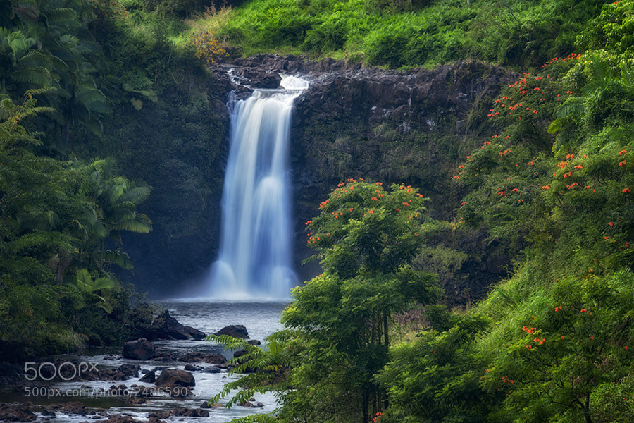Sony a7R II sample photo. Uma uma falls. hawaii photography
