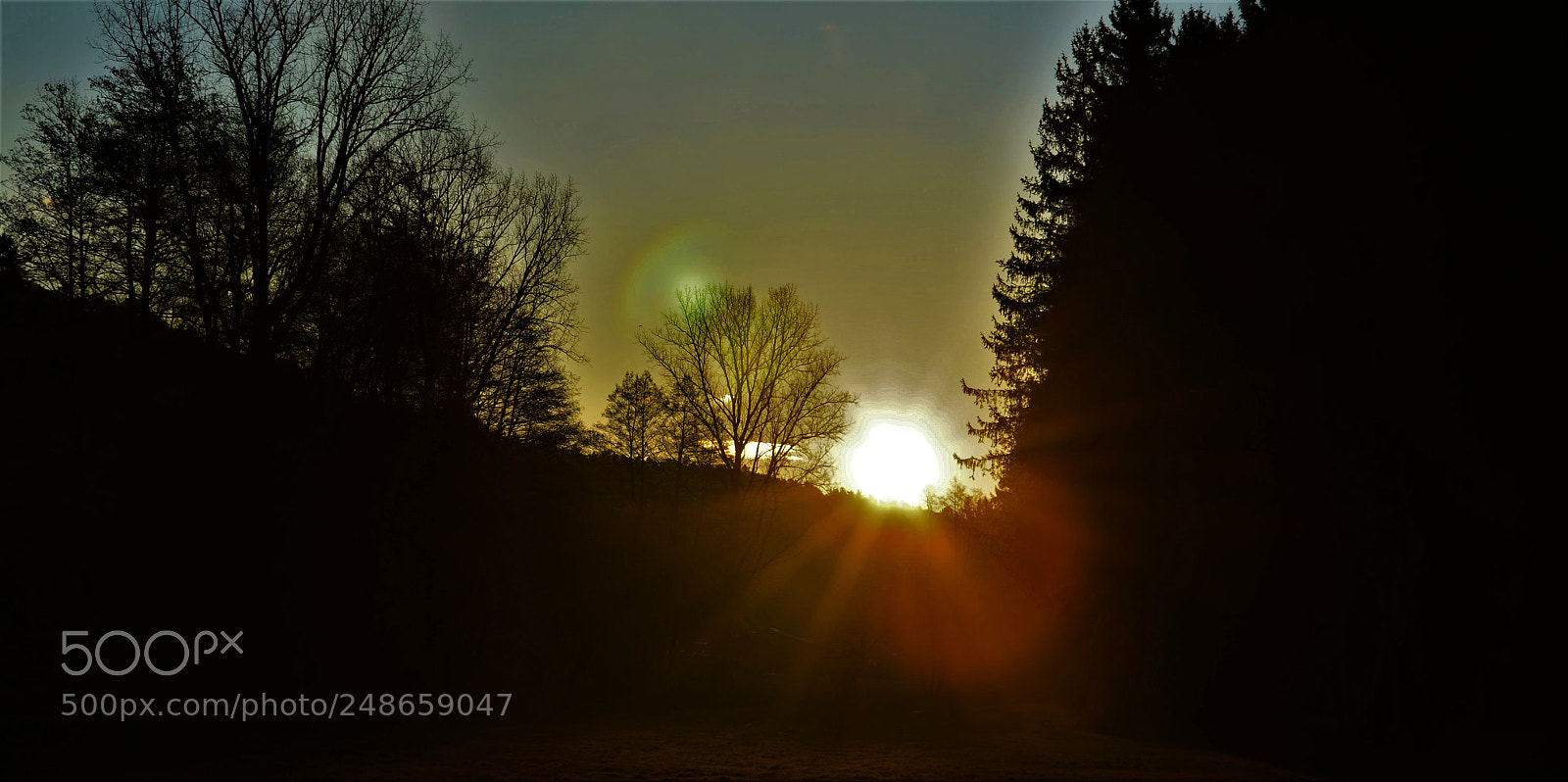 Nikon D5100 sample photo. Sonnenaufgang g ndo umu photography