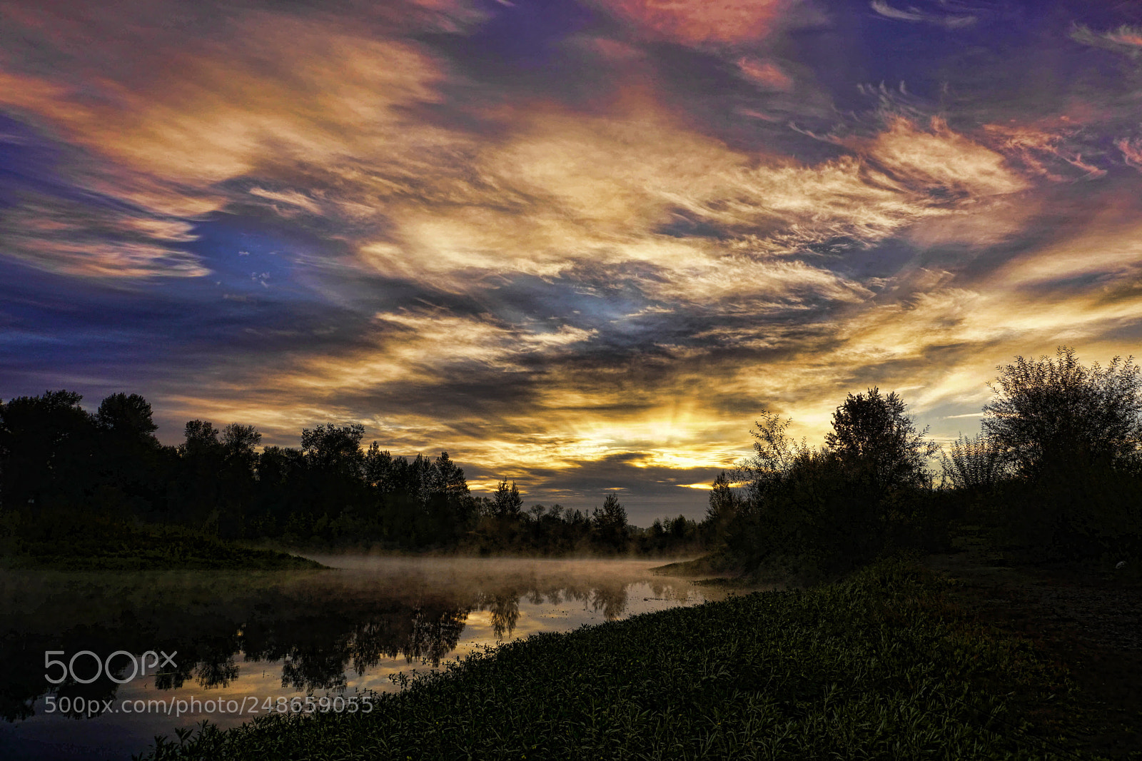 Sony a6000 sample photo. Good morning from pond photography