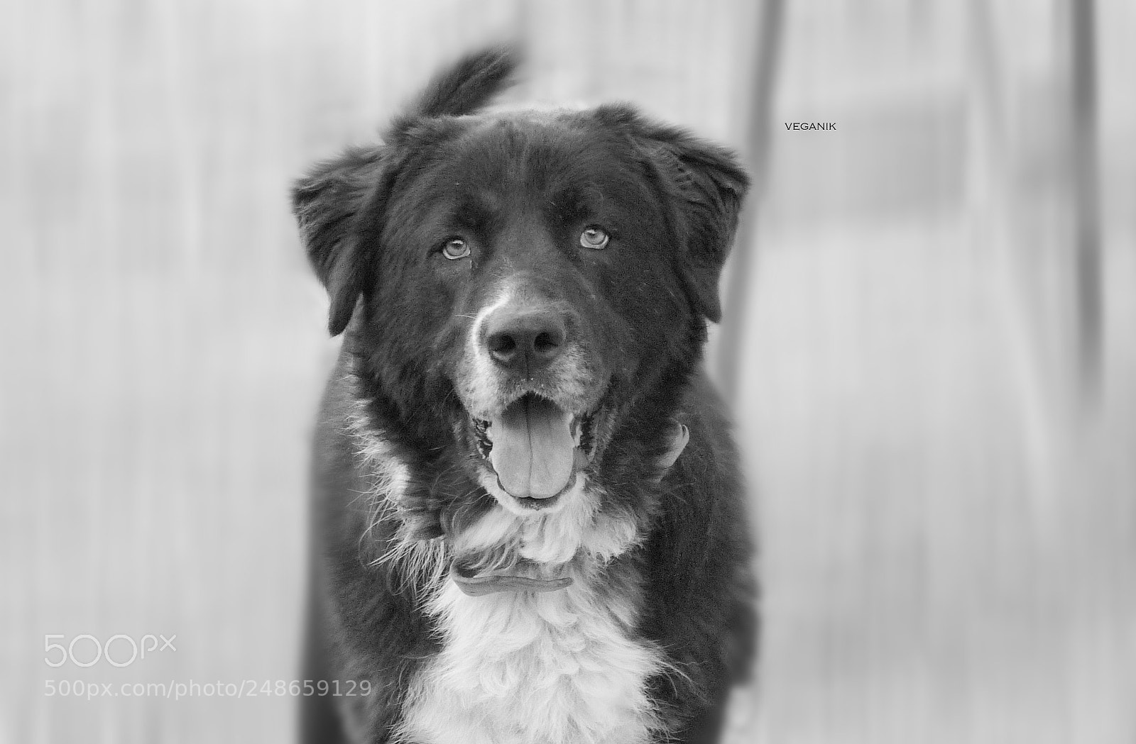 Panasonic Lumix DMC-FZ28 sample photo. ... photography