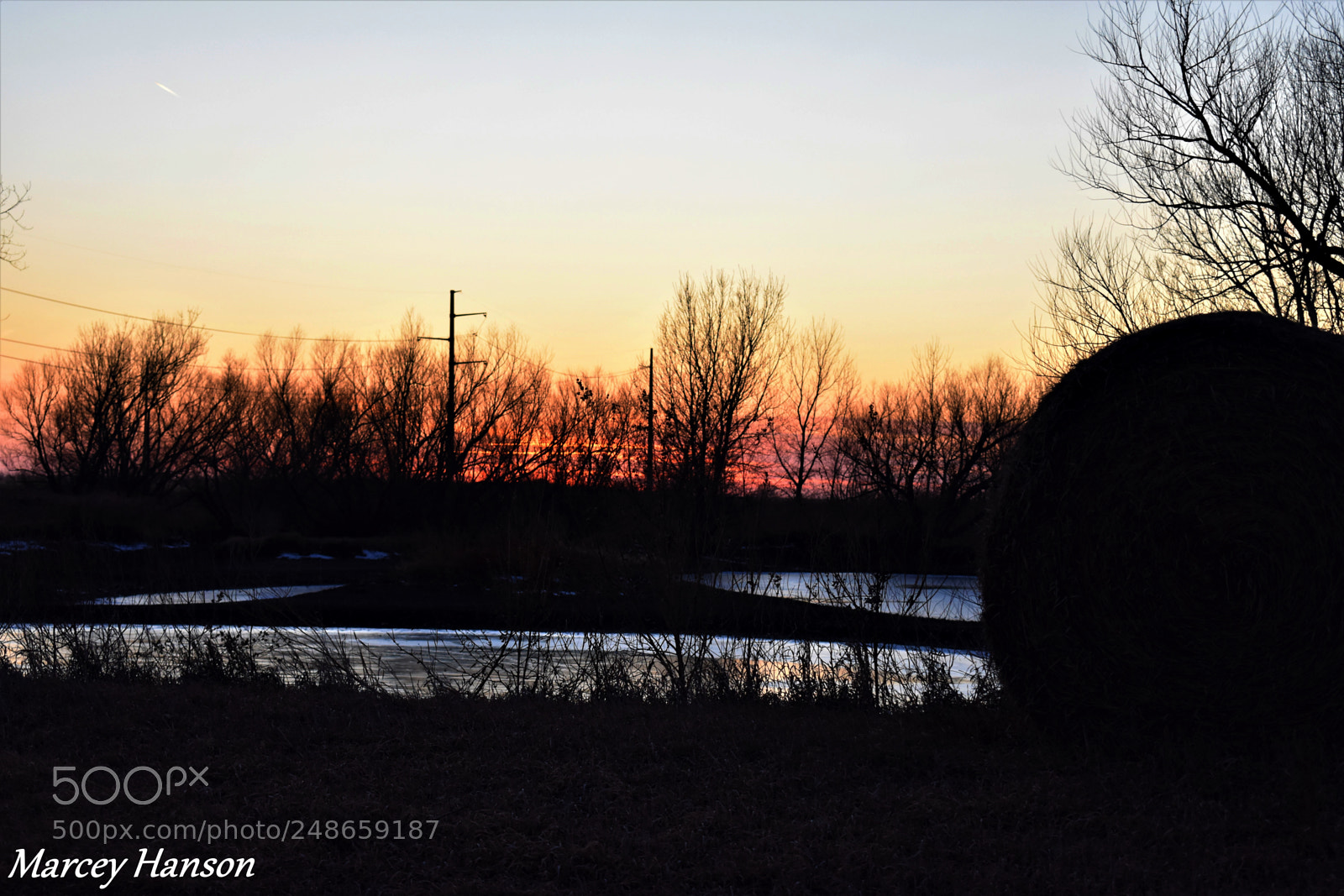 Nikon D3400 sample photo. 95.jpg photography
