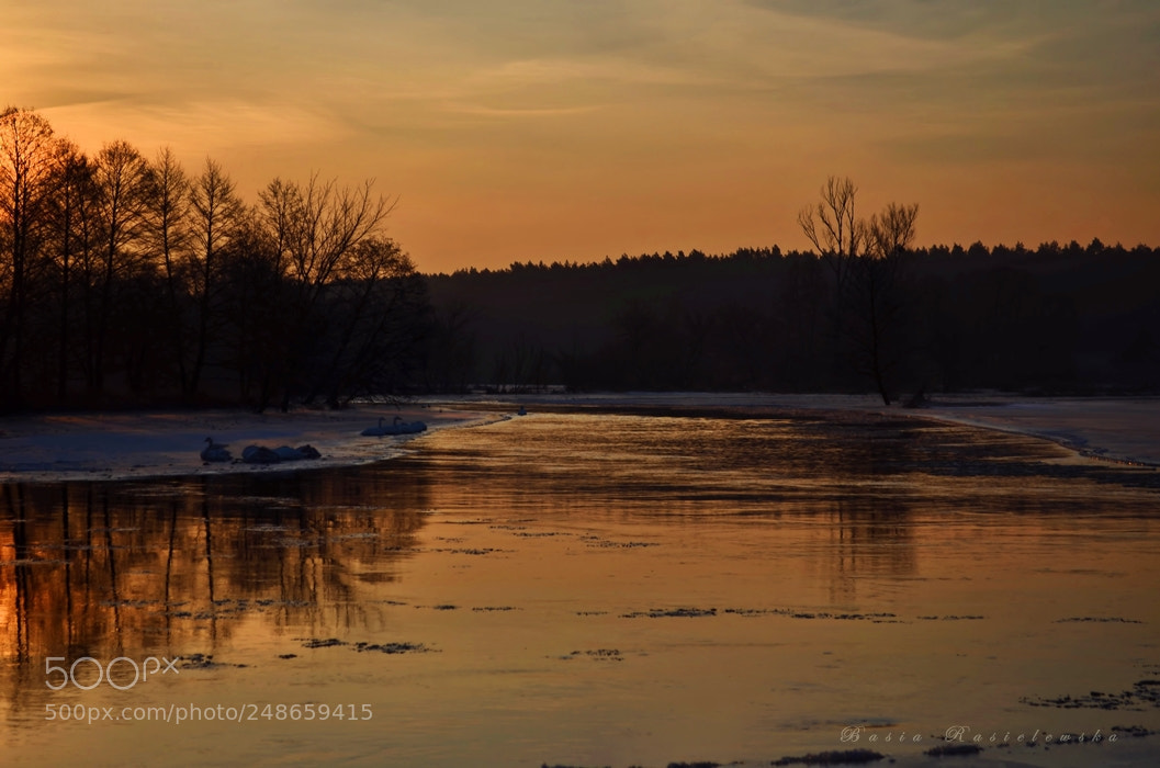 Nikon D5100 sample photo. Dawn on the river... photography
