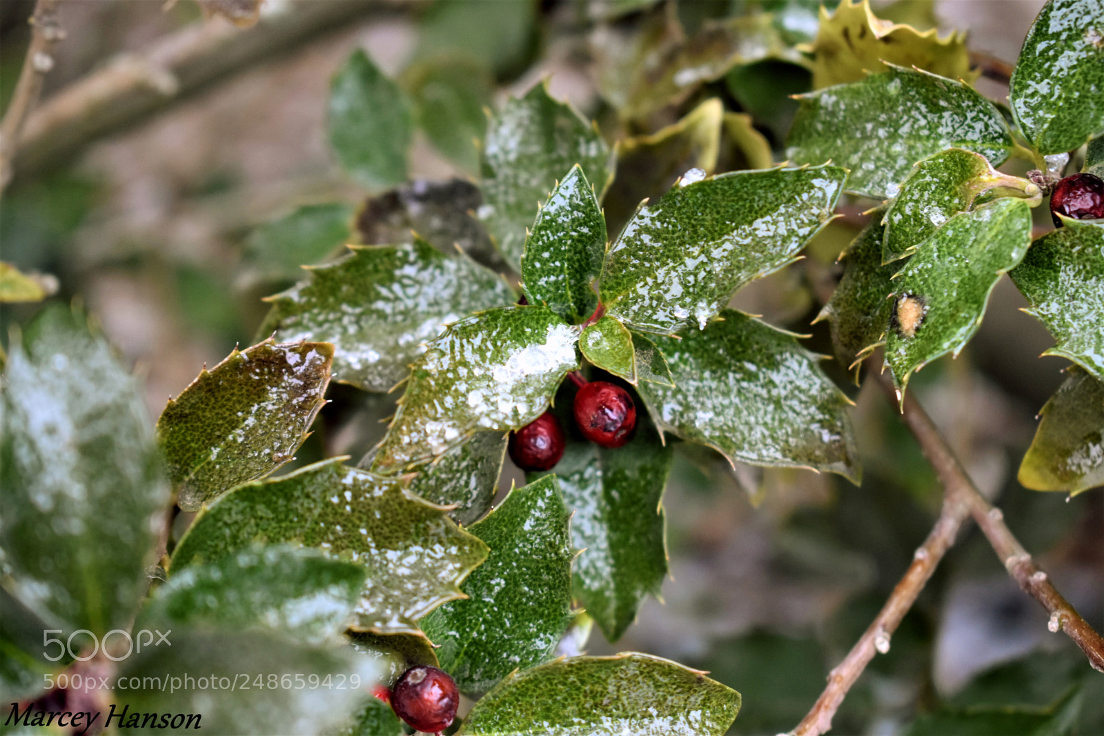 Nikon D3400 sample photo. 108.jpg photography