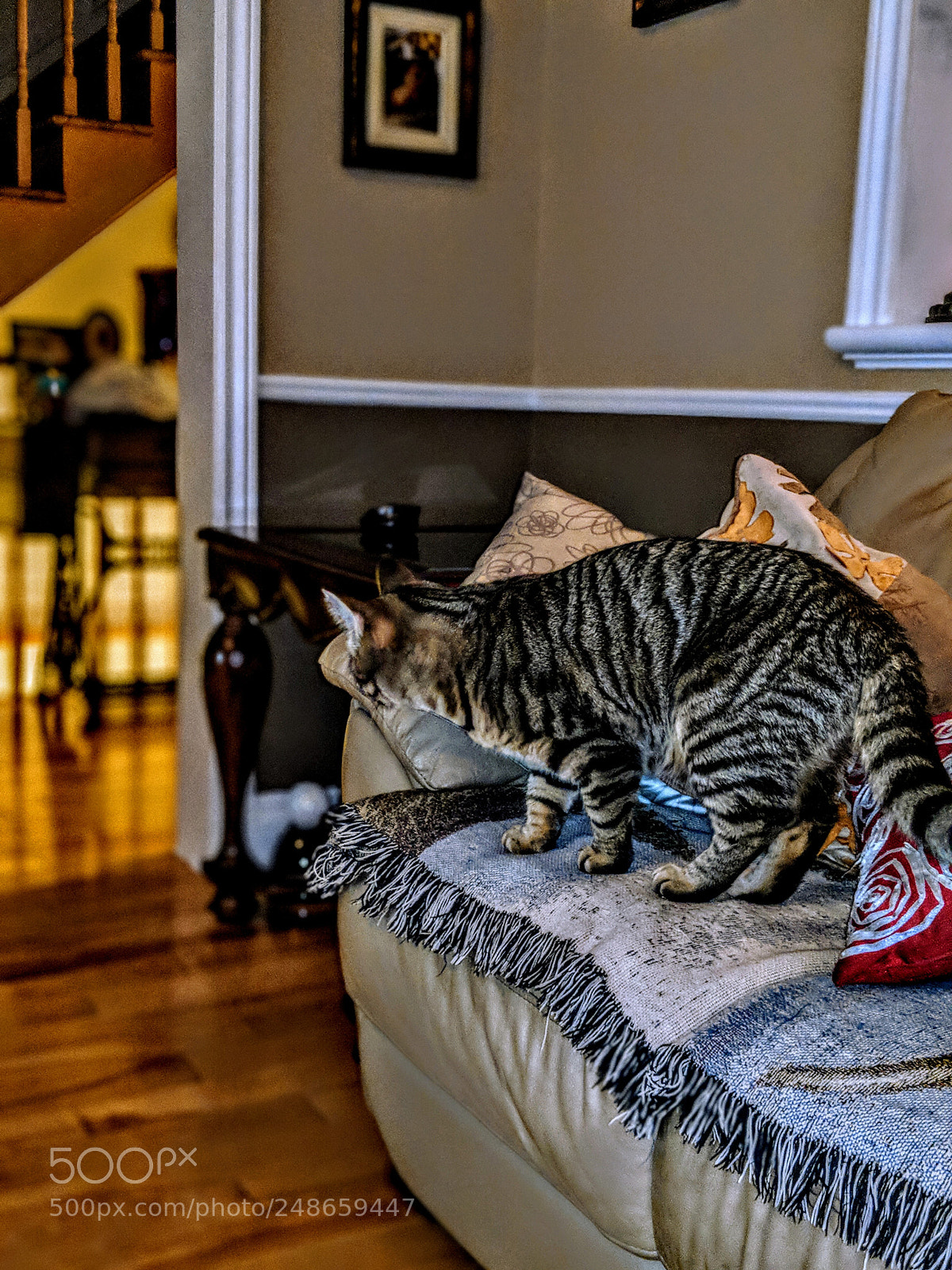 Google Pixel 2 sample photo. Untitled photography