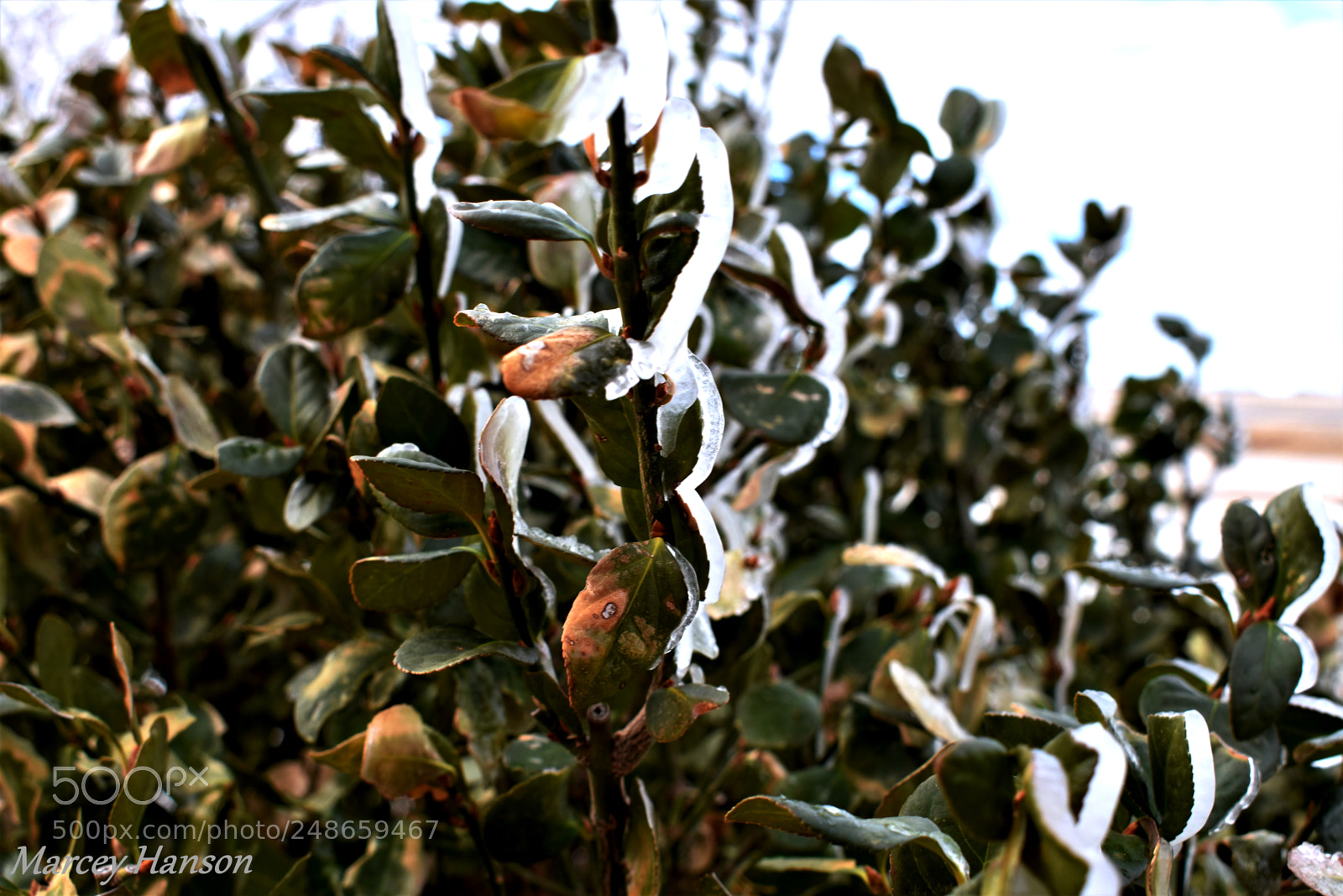Nikon D3400 sample photo. 110.jpg photography