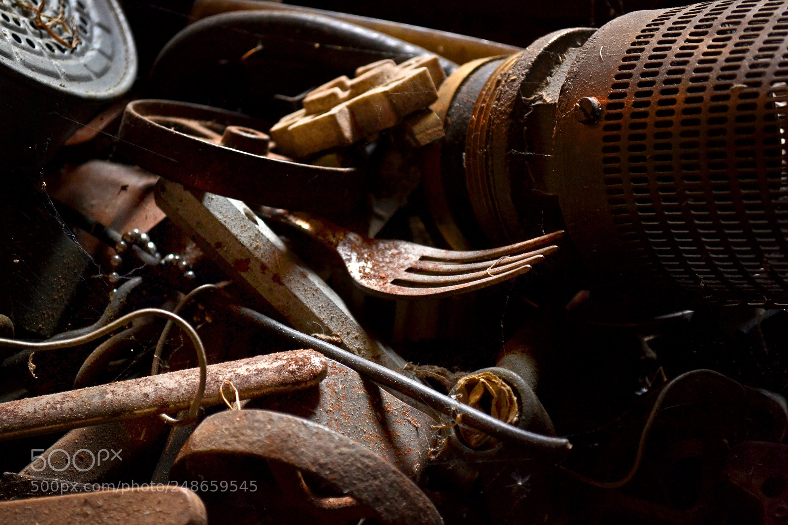 Nikon D3100 sample photo. Treasures photography