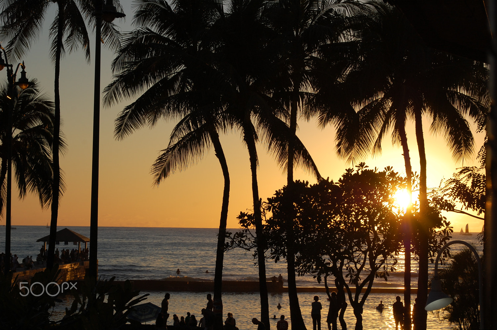Nikon D40 sample photo. Sunset palms photography