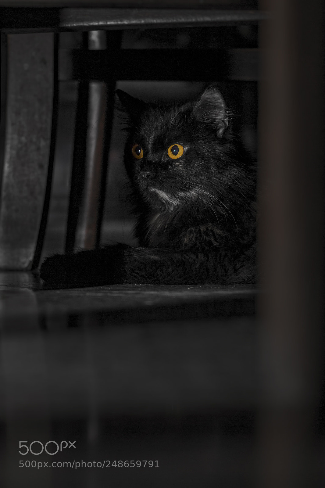 Canon EOS 700D (EOS Rebel T5i / EOS Kiss X7i) sample photo. B a g h photography