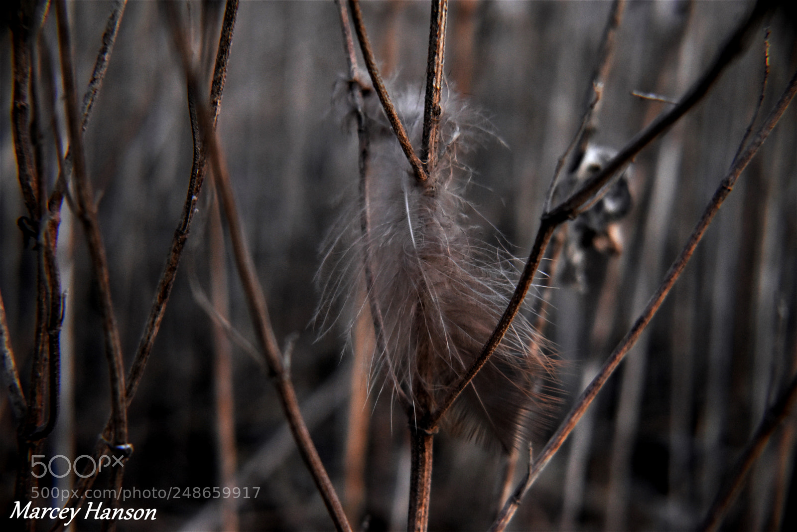 Nikon D3400 sample photo. 142.jpg photography