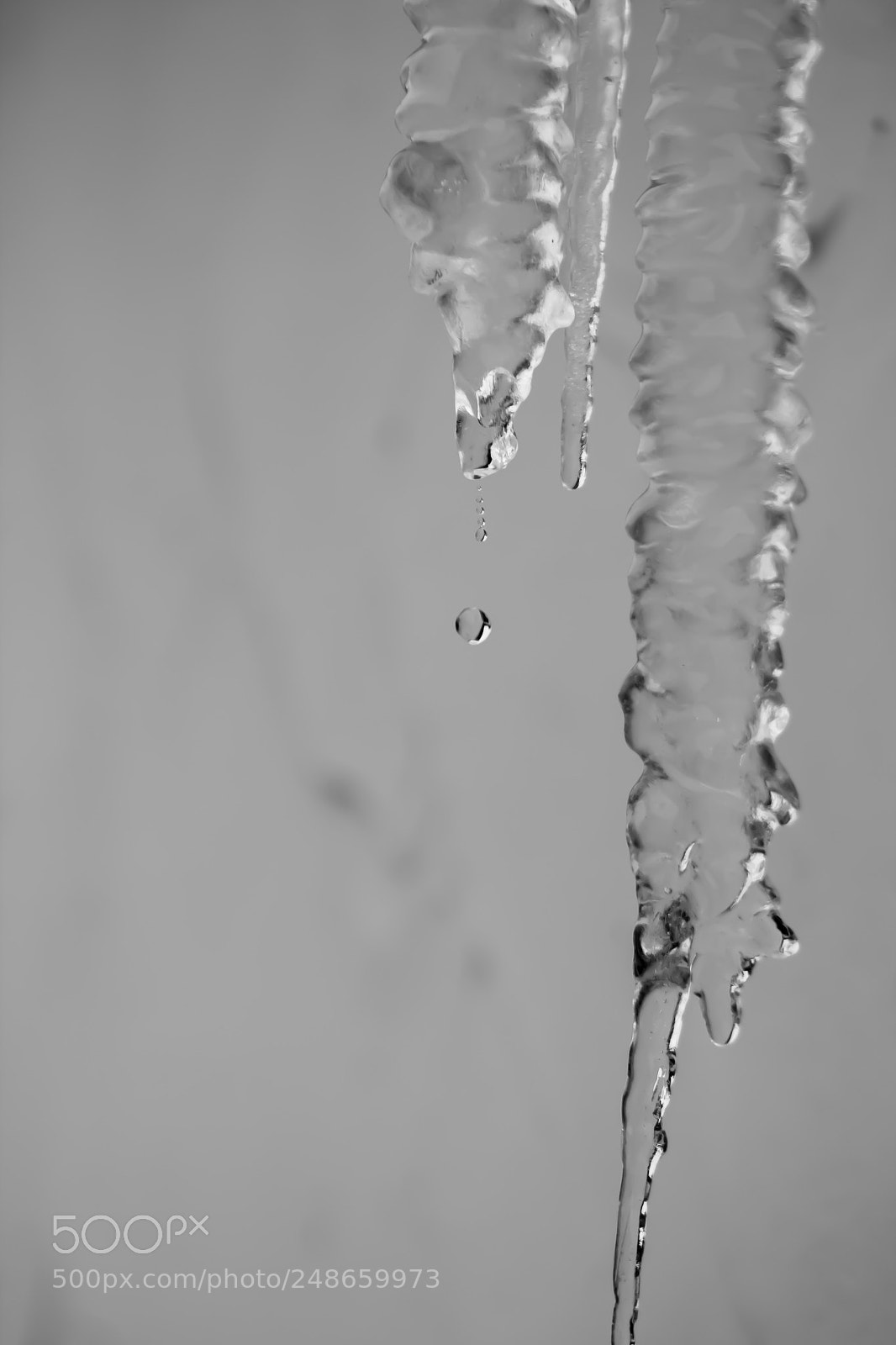 Canon EOS 1300D (EOS Rebel T6 / EOS Kiss X80) sample photo. Melting icicles photography
