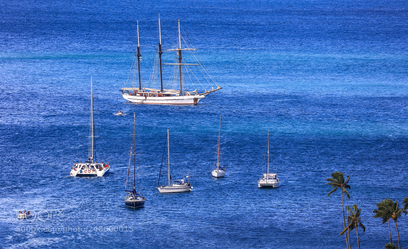 Canon EOS 5DS R sample photo. 171a8027-11.jpg photography