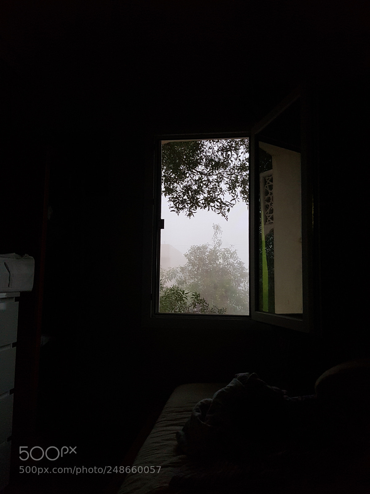 Samsung Galaxy S8+ sample photo. Untitled photography