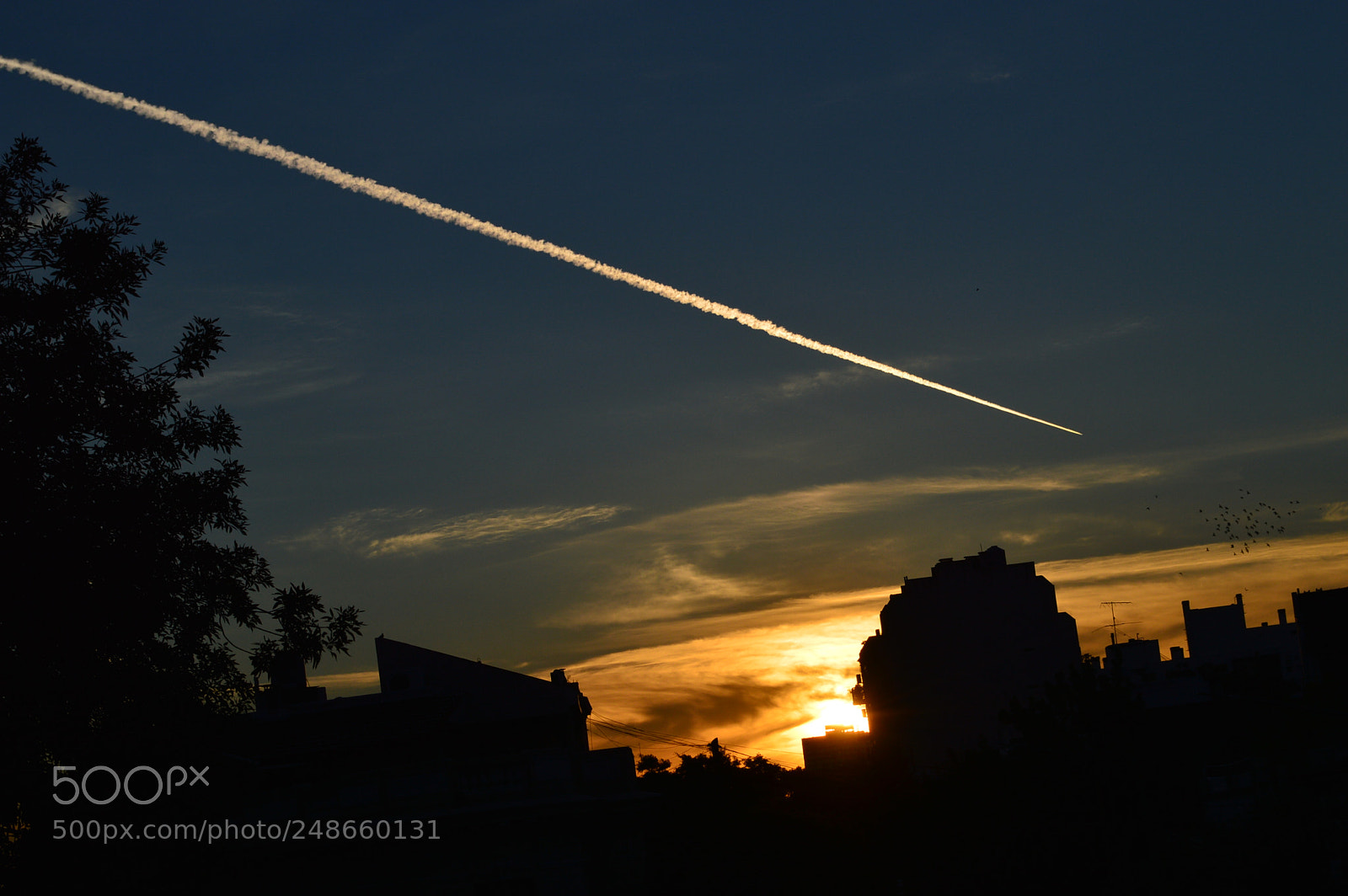 Nikon D3200 sample photo. Surcando el cielo photography