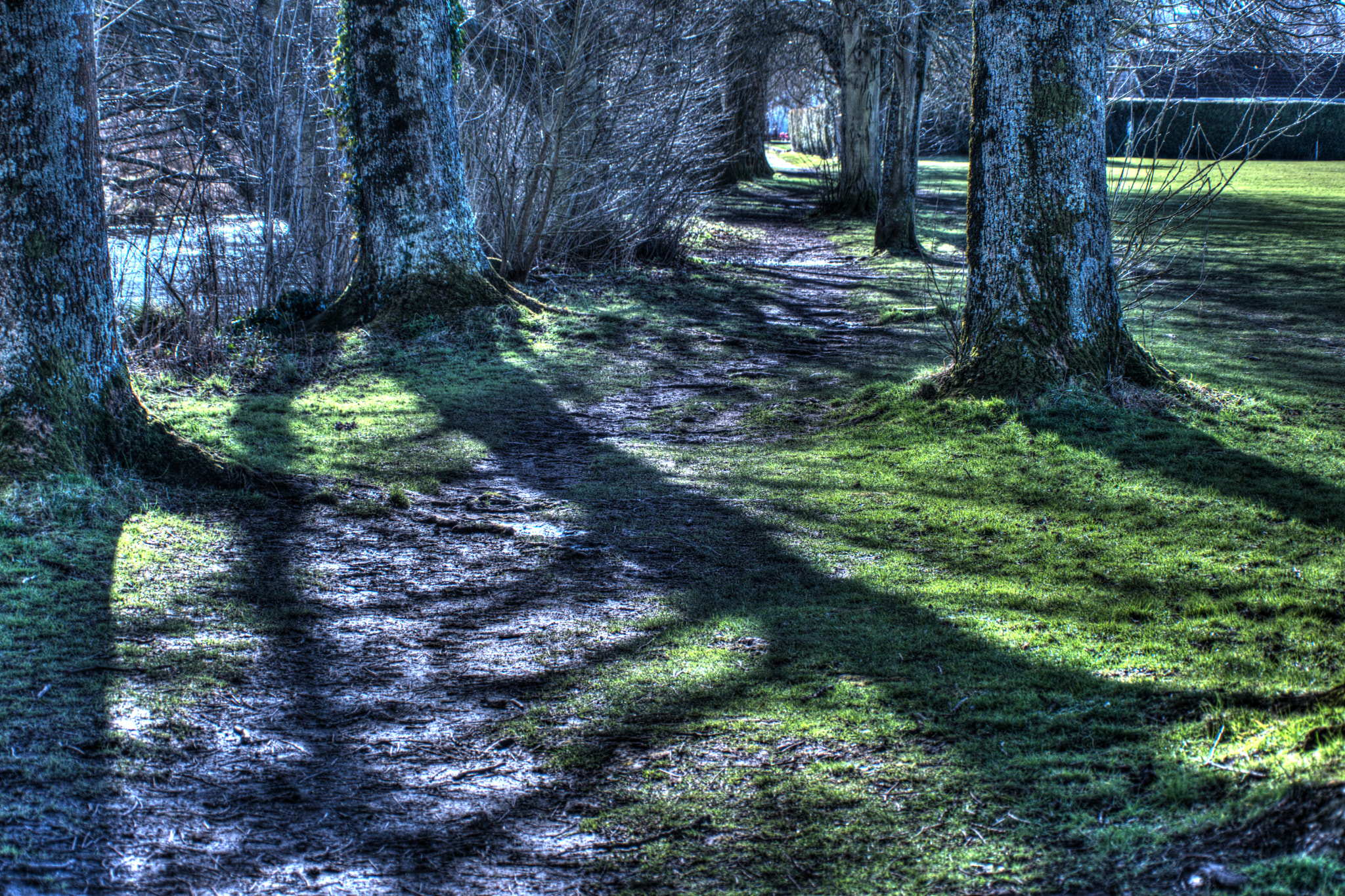 Nikon D800 sample photo. Nature lights the way photography