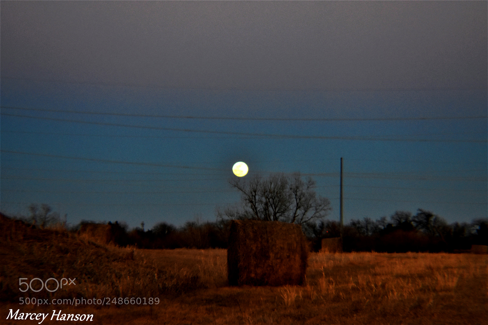 Nikon D3400 sample photo. 145.jpg photography