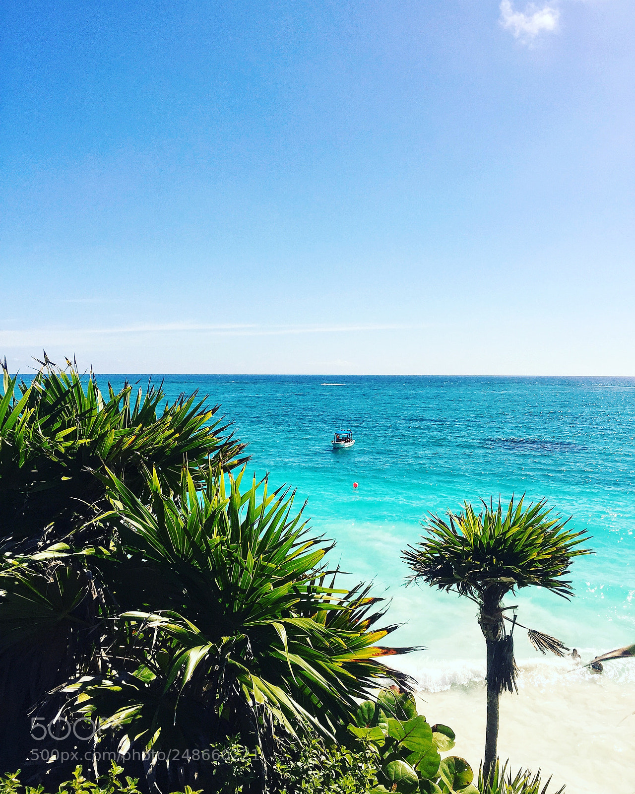 Apple iPhone 6 Plus sample photo. Palm trees and beach photography