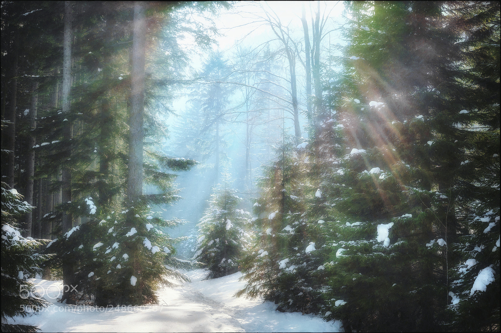 Fujifilm X-T1 sample photo. The way through the photography