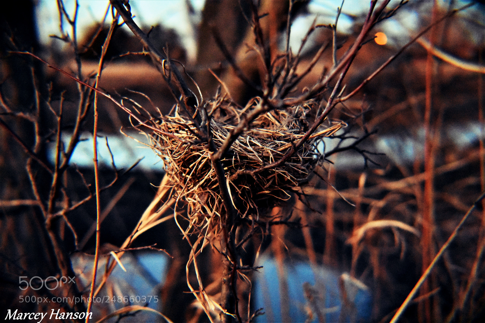 Nikon D3400 sample photo. 150.jpg photography