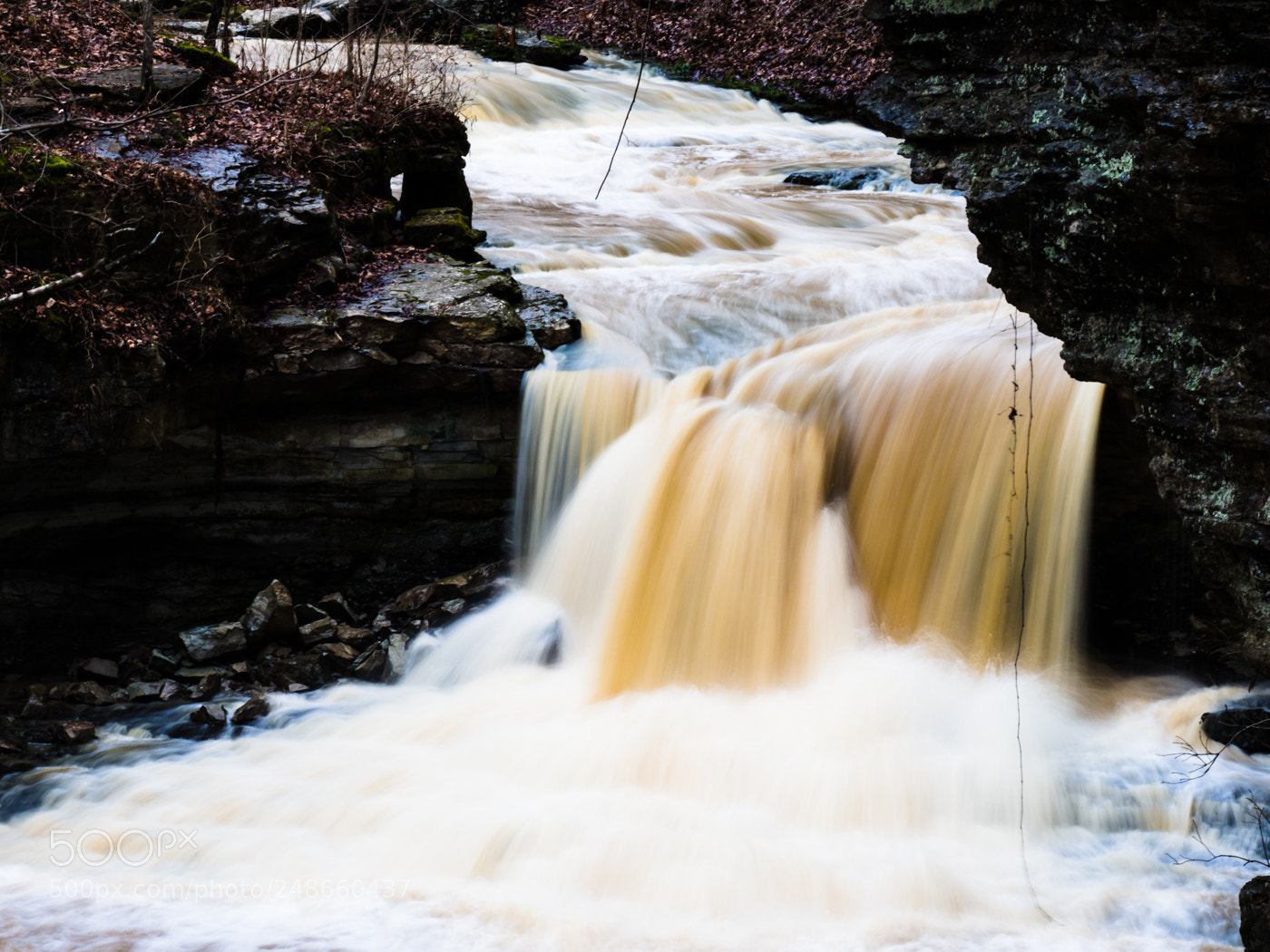 Olympus OM-D E-M1 Mark II sample photo. Mccormick's creek state park photography
