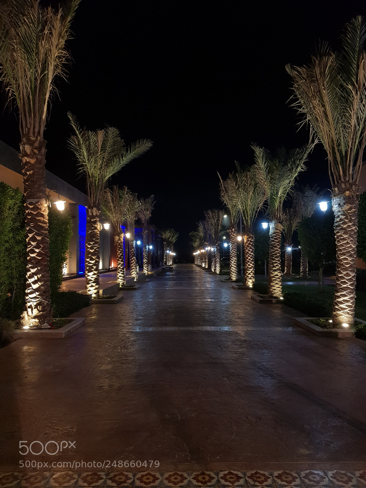 Samsung Galaxy S8+ sample photo. Untitled photography