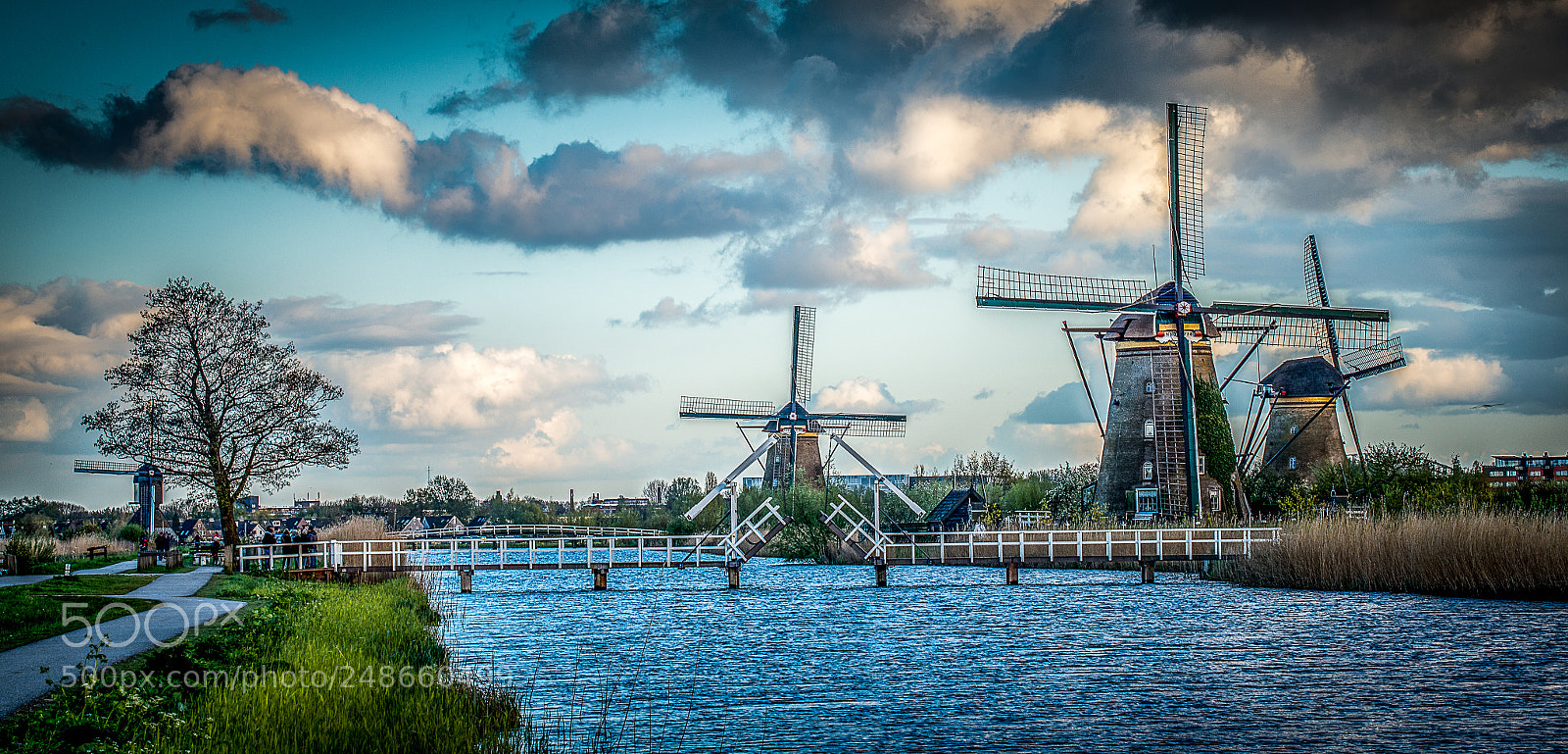 Nikon D800 sample photo. Windmills at kinderdijk photography
