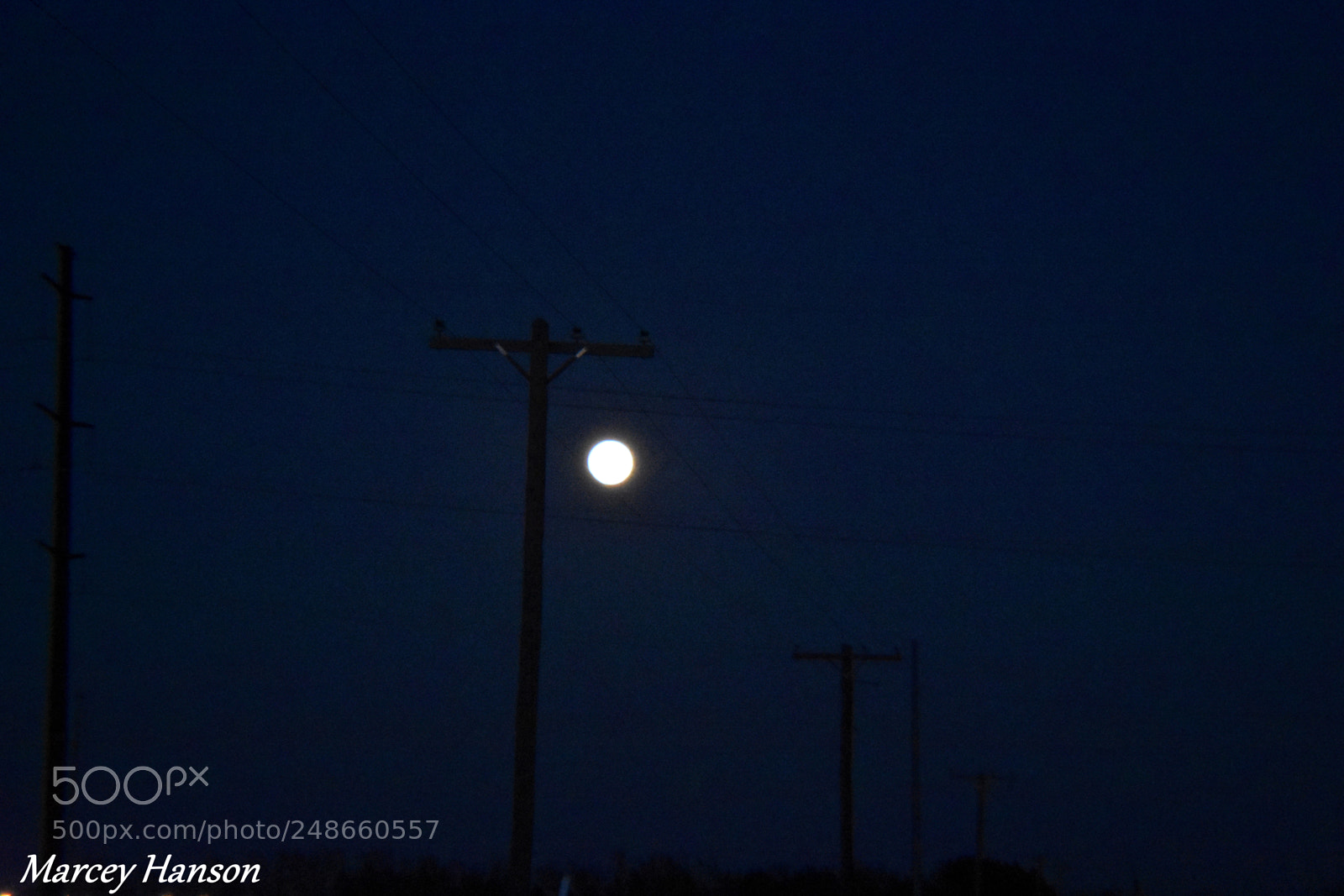 Nikon D3400 sample photo. 155.jpg photography
