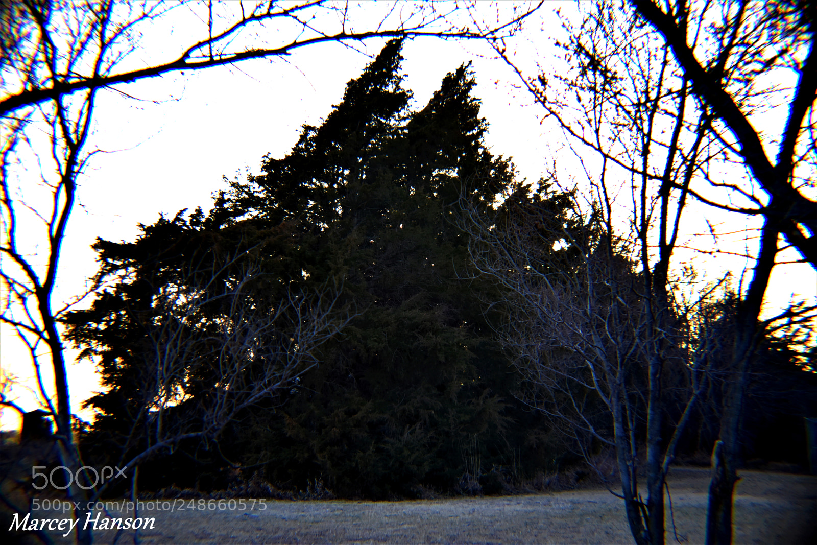 Nikon D3400 sample photo. 160.jpg photography