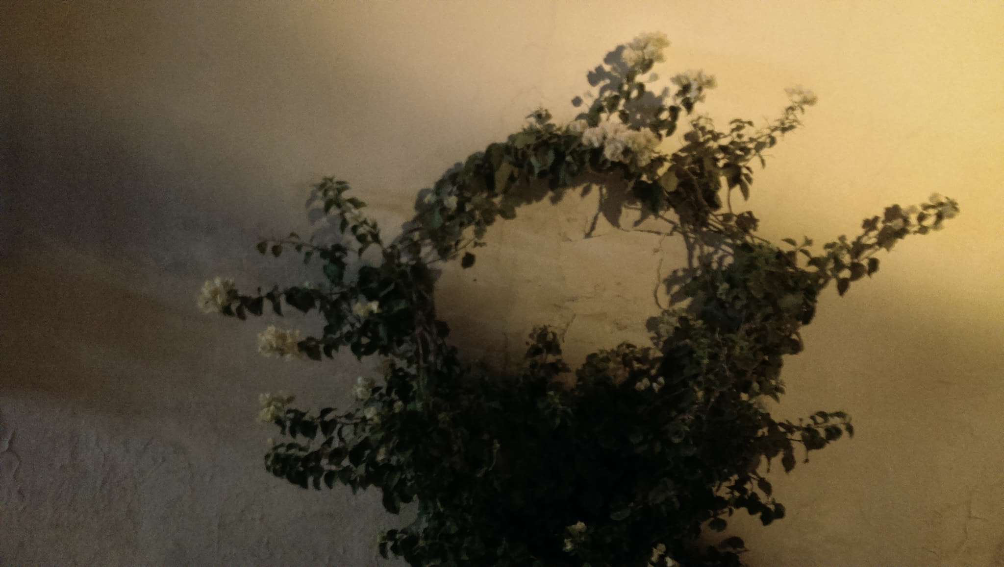 HTC ONE sample photo. Imag photography
