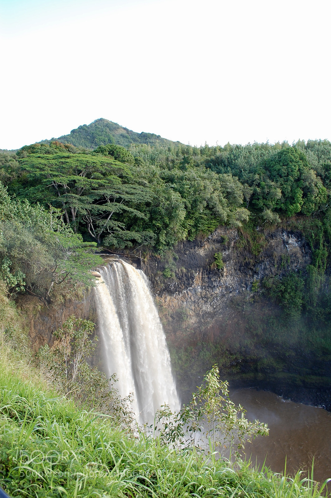 Nikon D40 sample photo. Falls amongst the jungle photography